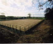 Equestrian arena