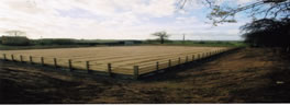 Horse arena