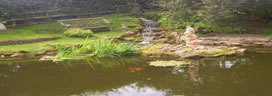 Fish pond